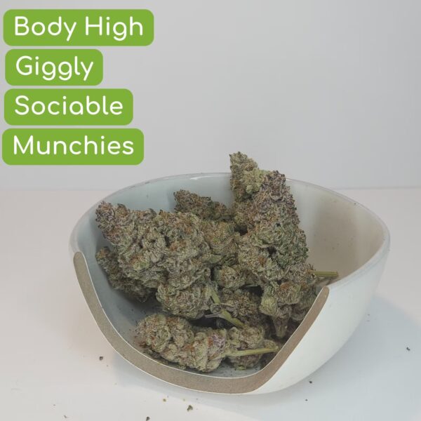 berry jane hyb